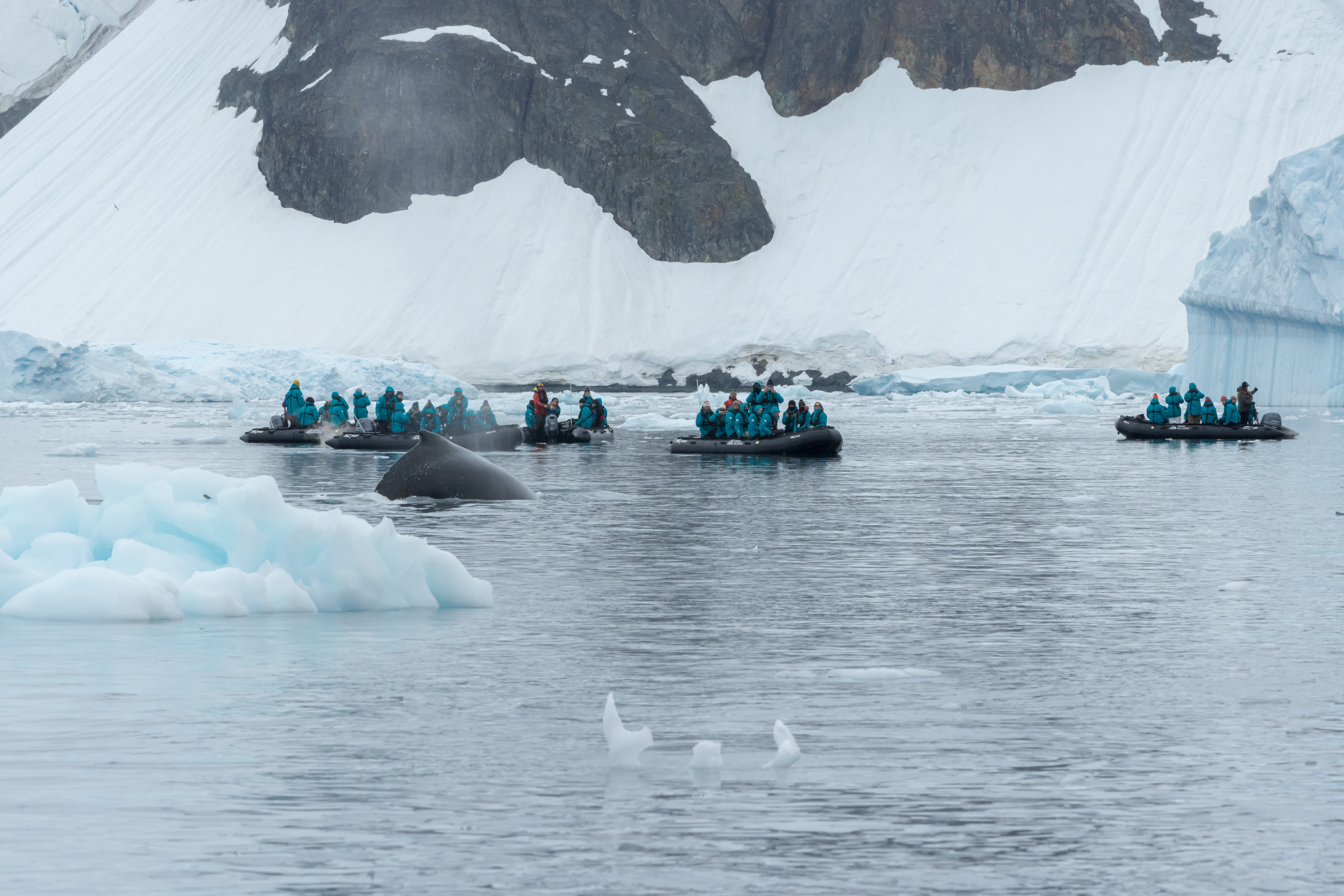Excursions on SH Diana